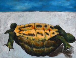 tortoise painting