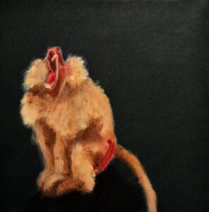 Baboon
